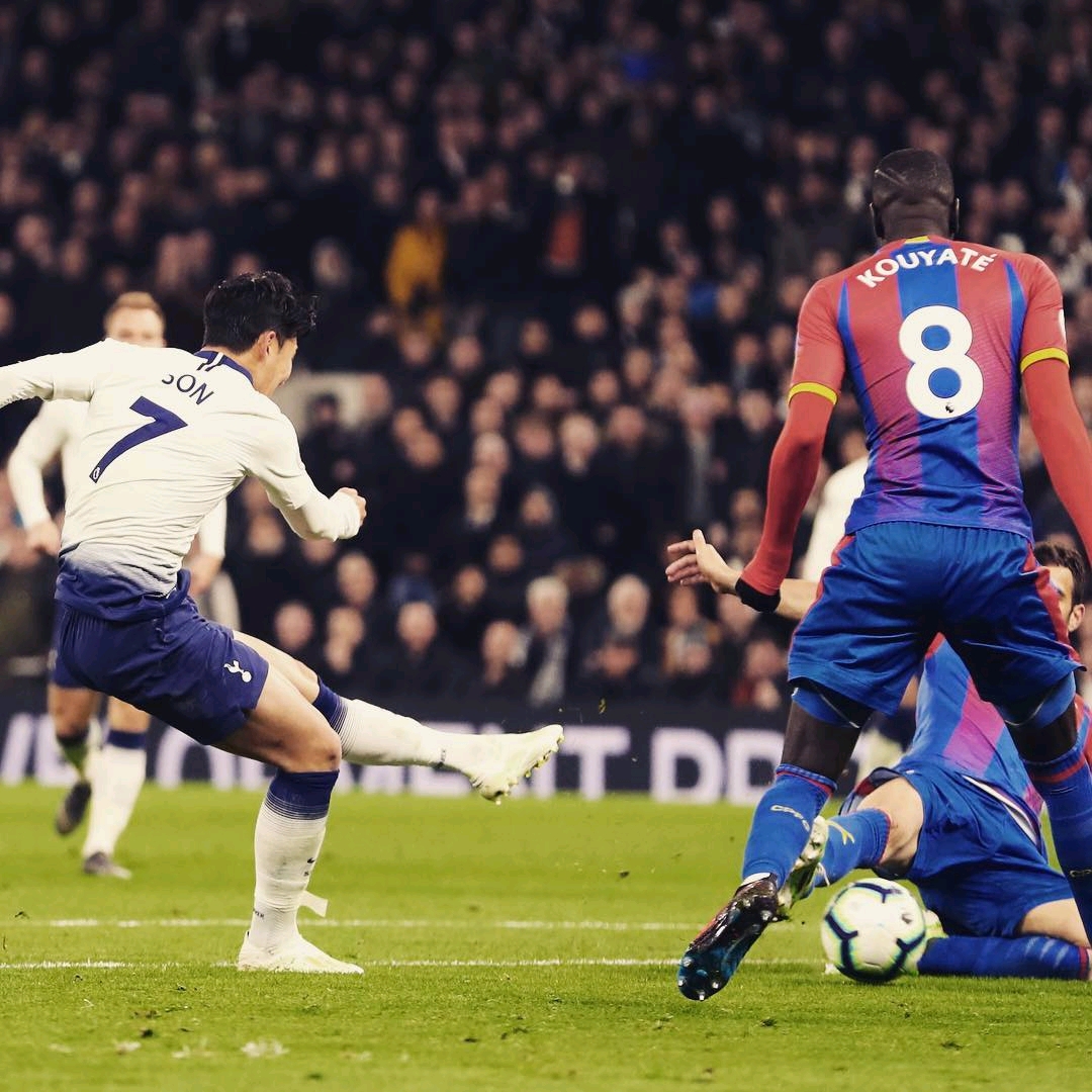 种子球员稳定发挥